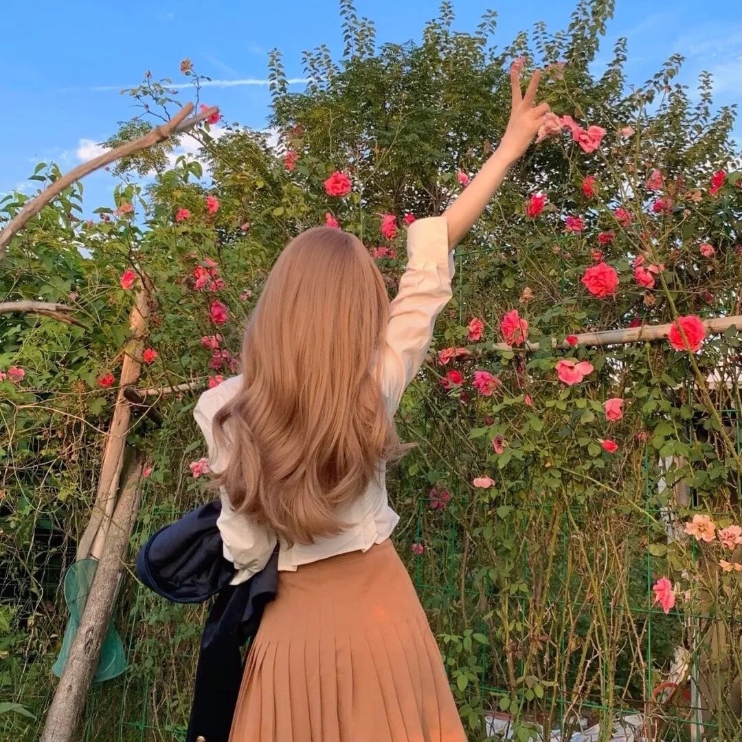 吸血鬼马上死第二季