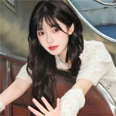 名侦探柯南：银翼的魔术师