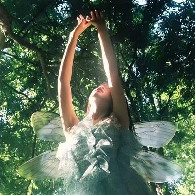 冬夜无声等花开